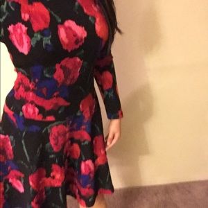 Size 4 Ivanka Trump Dress